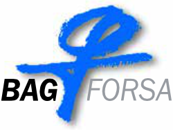 BAG FORSA